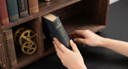 11 Best Steampunk Bookshelf in 2026