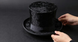 11 Best Top Hat Costume Adult in 2026