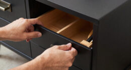 13 Best Collectors Storage Cabinets in 2026