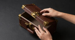 13 Best Faux Leather Trunk Set in 2026