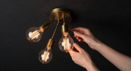 13 Best Vintage Edison Bulb Chandelier in 2026
