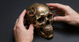 14 Best Steampunk Skull Decor in 2026