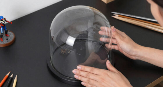 7 Best Glass Display Dome Large in 2026