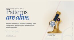 Culture No. 46 — The Living Pattern Laboratory — Reaction-Diffusion Simulation (FABLE/175, room 46)