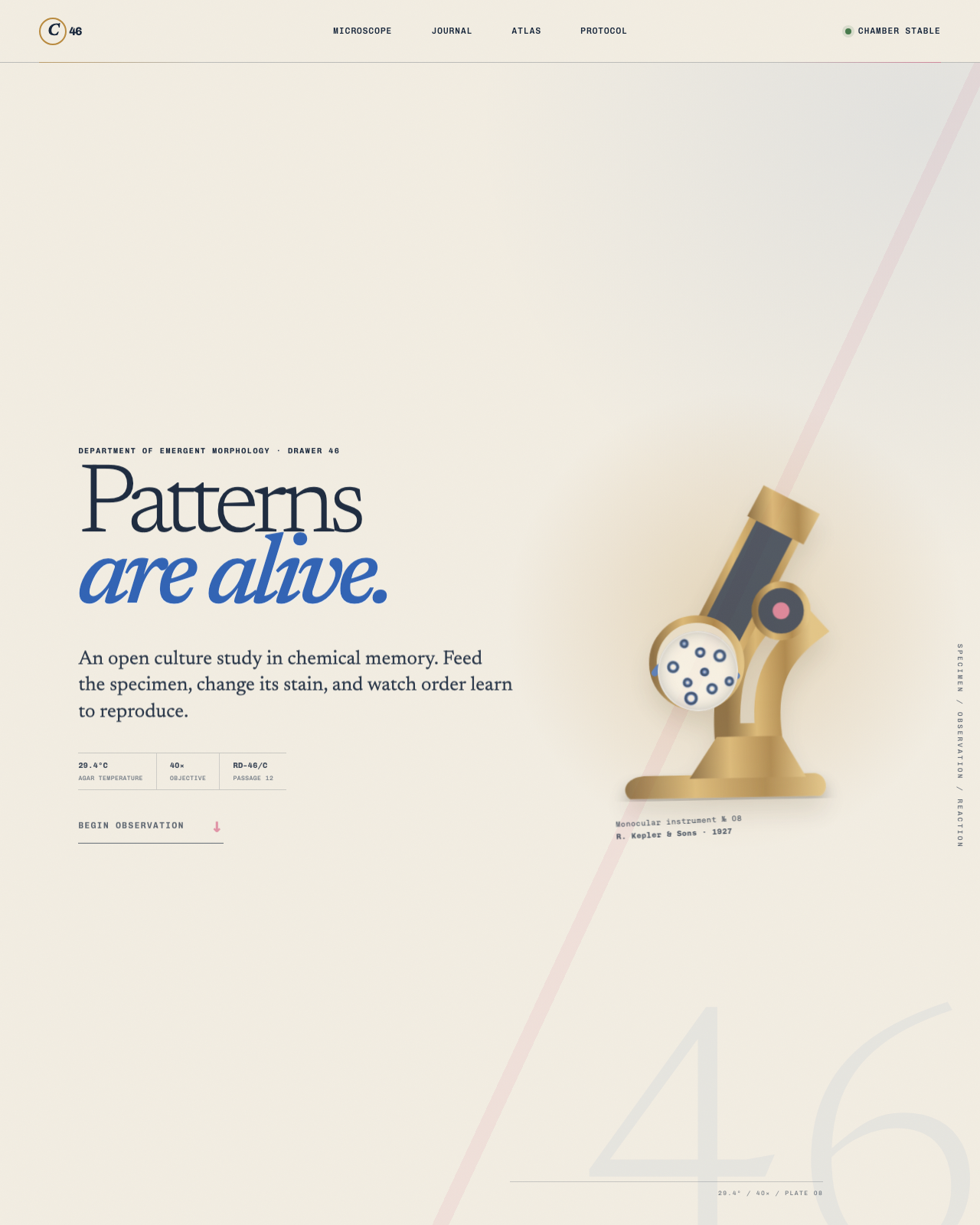 Live view of Culture No. 46 — The Living Pattern Laboratory