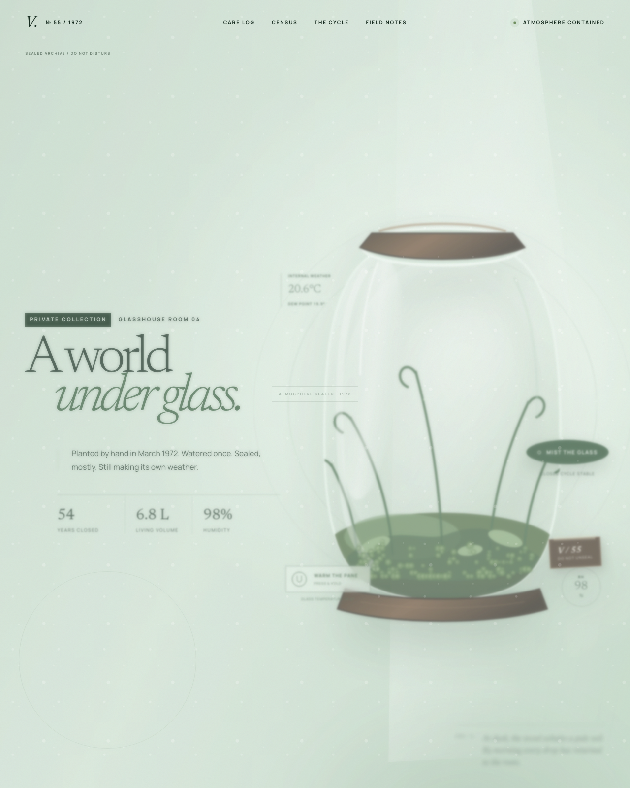 Live view of Vivarium № 55 — A Sealed Glass World