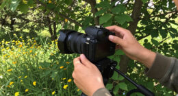 40 Filmmakers In 25 Countries Team Up For An Ode To Nature Shot Entirely On Super 8 Cameras