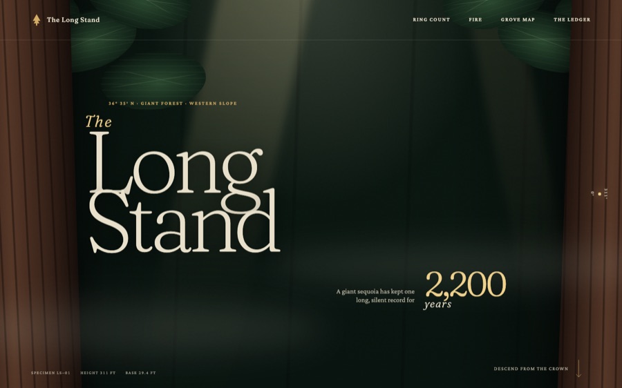 The Long Stand — 2,200 Years in a Giant Sequoia (FABLE/175)